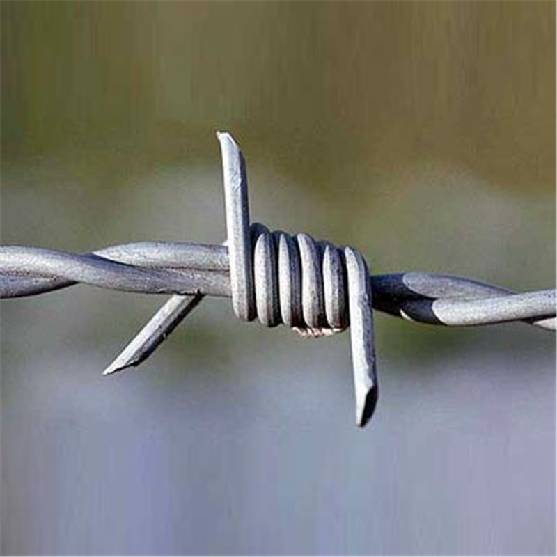 barbed wire