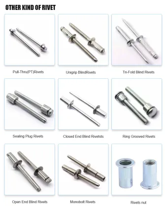 Drive Rivets, Rivet Nuts and Blind Rivets