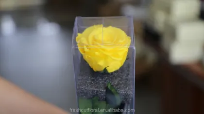 Wholesale Yellow Preserved Roses with Stem - Rainbow