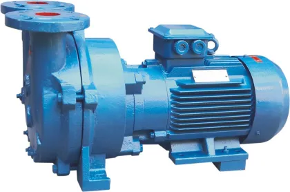 Nash Elmo 2BV Liquid Ring Vacuum Pump