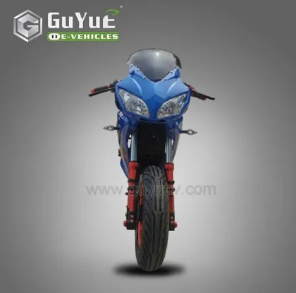 Adult Mini Electric Motorcycle