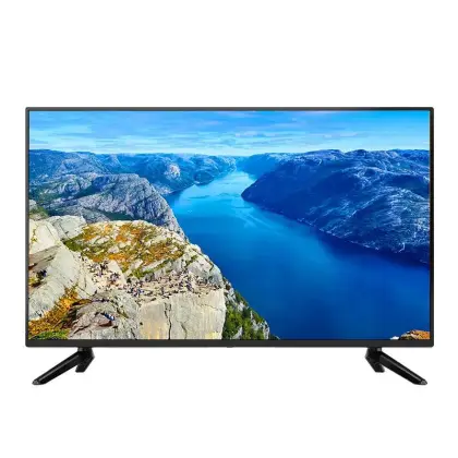 Terrestrial Digital Television Broadcasting