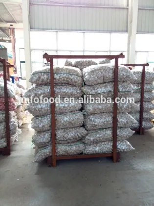 Best quality Jinxiang garlic