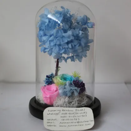 Venus Et Fleur Real Rose Leaves for Home-Decoration