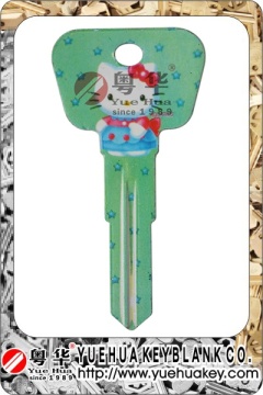 Hot Sale Different Kinds Superior Door Lock Key Blank for USA