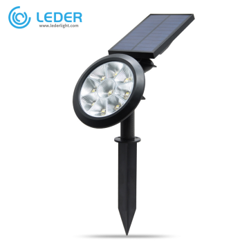 LEDER Decorative Ourdoor 5W LED Spike Light