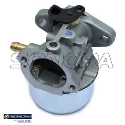 Carburetor Replace for BRIGGS & STRATTON