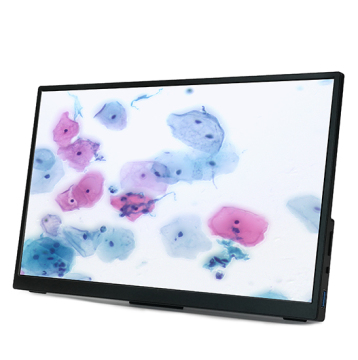 BestScope BLC-280: 13.3 inch LCD C-mount HDMI+USB CMOS Camera