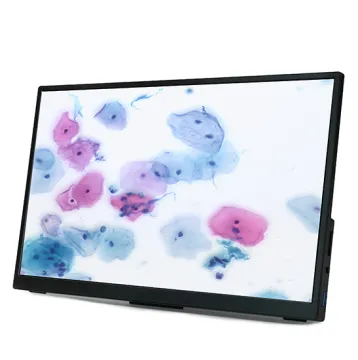 BestScope BLC-280: 13.3 inch LCD C-mount HDMI+USB CMOS Camera