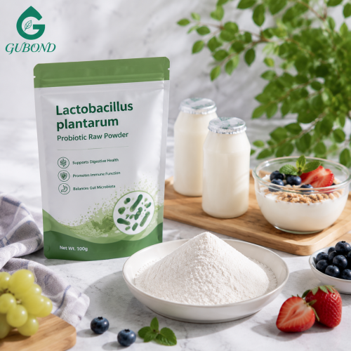 Lactobacillus Plantarum para suplementos dietéticos