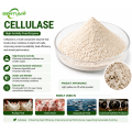 Cellulase Enzyme for Fiber Digestion & Feed Efficiency