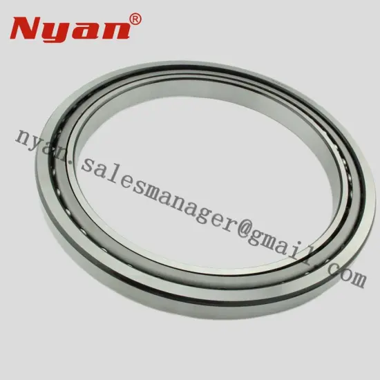 Excavator Bearings supplier manufacturer NYAN Bearings 220-1