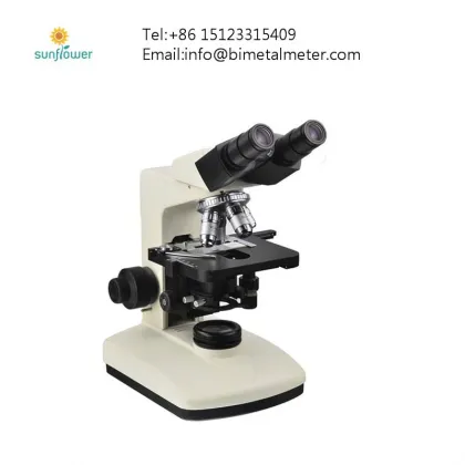 Budget-Friendly Scanning Electron Microscope (SEM) Solutions: Affordable SEM Devices and Technologies