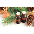 Pure natural Pine needle essential oil