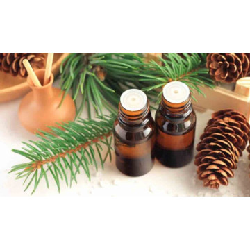 Pure natural Pine needle essential oil