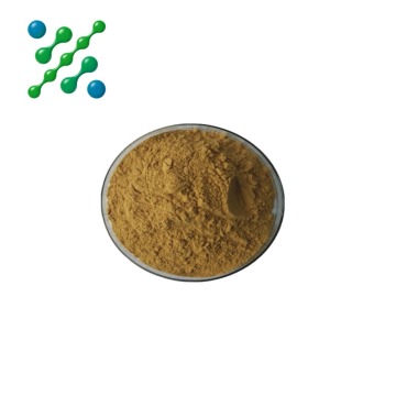 Tribulus Terrestris Powder Extract