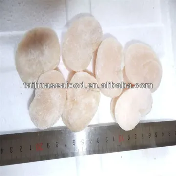 IQF new frozen cooked sea scallops