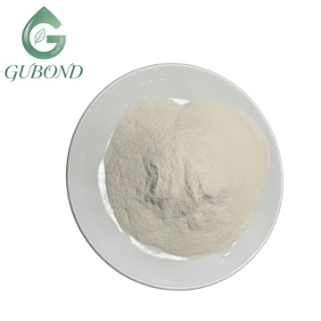 Lactobacillus acidophilus 10 Billion CFU Probiotic Powder
