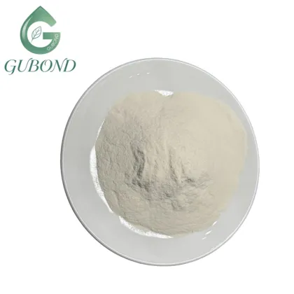 Lactobacillus acidophilus 10 Billion CFU Probiotic Powder