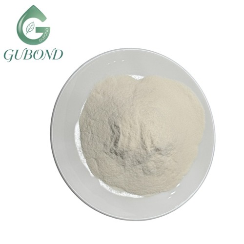 اكتوباكيللوس أسيدوفيلوس 10 مليار CFU مسحوق بروبيوتيك