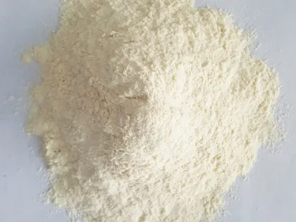 Food Seasoning Food Dehydrated Garlic Powder
