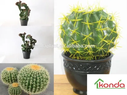Best selling artificial cactus plants,large cactus indoor plants,christmas cactus plant,mexico cactus plant