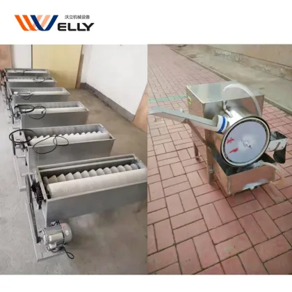 Factory Price Egg Washing Machine, Egg Cleaning Machine, Egg Brushing Machine