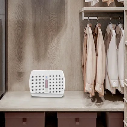 White Sand Renewable Desiccant Mini Dehumidifier with Silica Gel for Moisture Removal