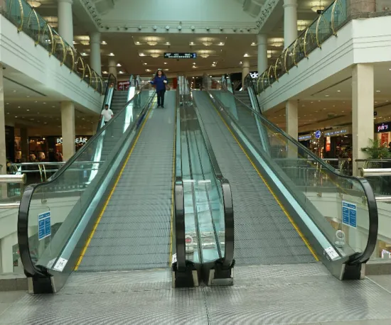 CE Certified Walkalator/Escalator/Travelator Manufacturers in China