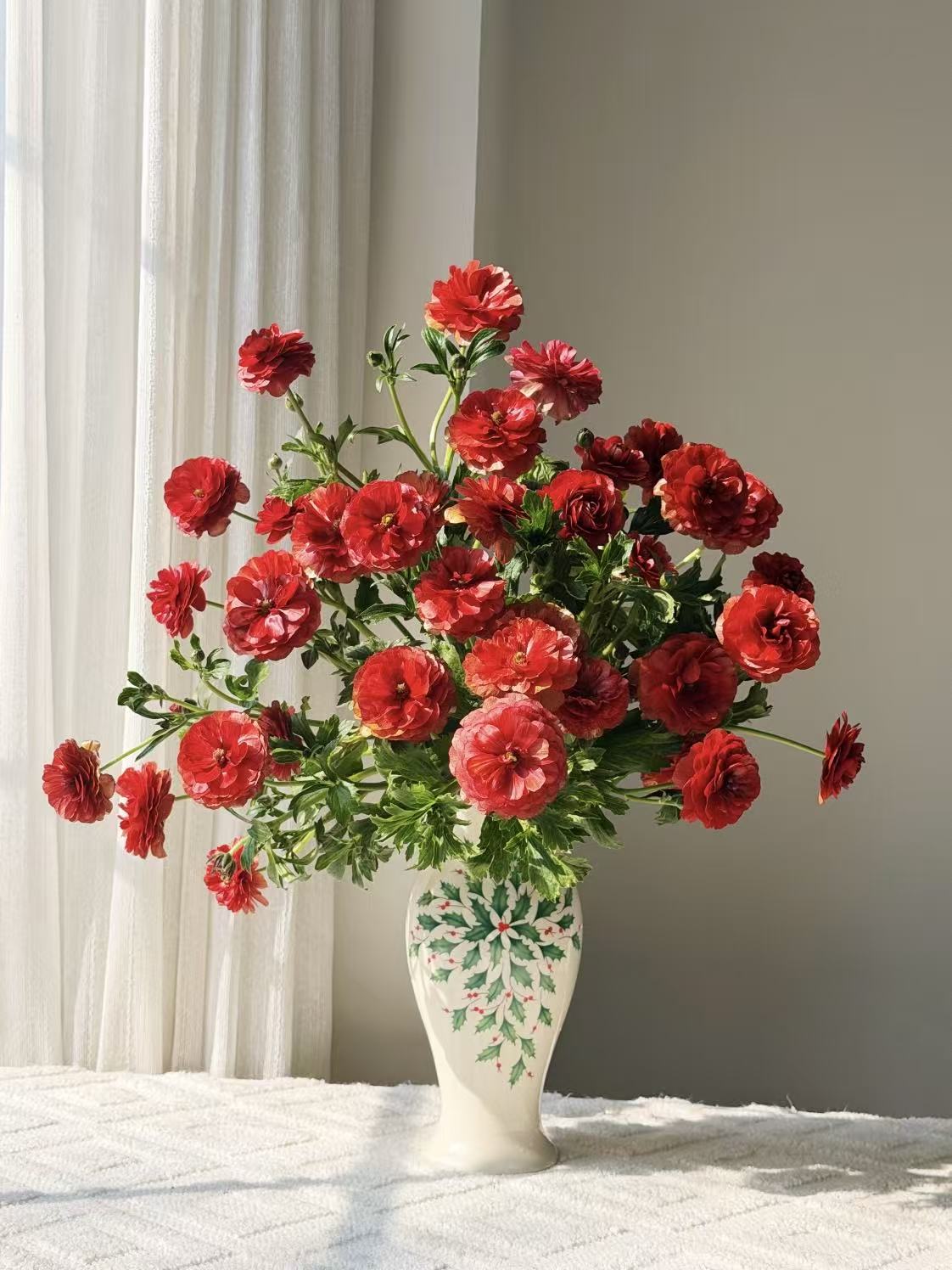 Fresh cut of red Ranunculus5