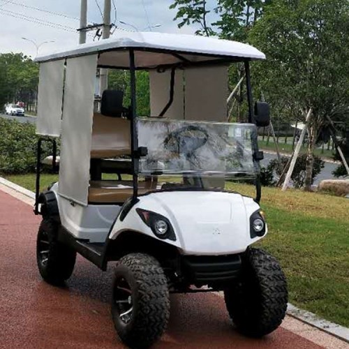 electric golf cart  with 2 rear seats