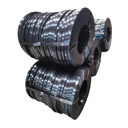 Tudor Strap Strip Carbon Steel Belt Seal Durable Steel Strips