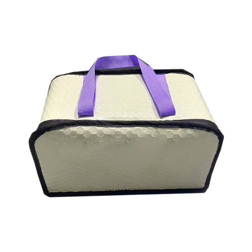 Picnic Insulated Lunch Bag Leakproof Cooler Bag