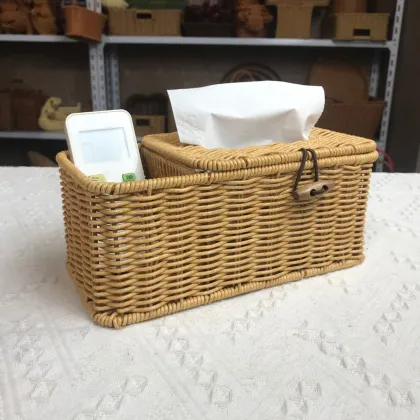 PP Plastic Double-Compartment Tissue Box - Simple Home Storage Solution