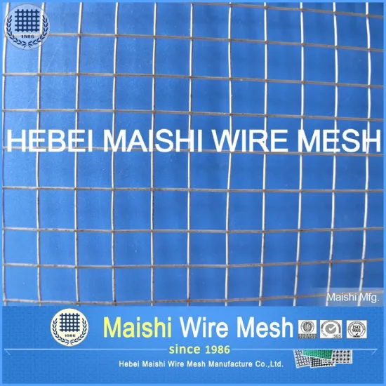 Electric Galvanized Welded mesh sheet