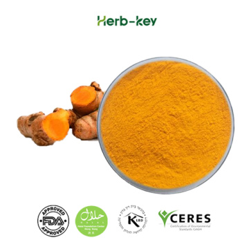 Curcuma Longa Extract 95%