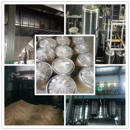 Wholesale Cordyceps Militaris Extract Cordycepin Powder 1% Cordyceps Extract Powder