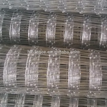 China factory direct sale hot dipped galvanized field fence for farm guard / cheap 12.5 gauge hinge joint field fence for sale