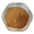 Hot Sale Semen Torreyae Extract Powder 20:1