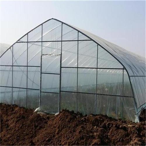 Agriculture Single Tunnel Plastic Film Greenhouse