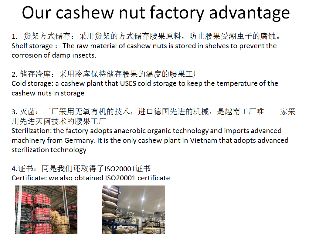 Cashew Nut Advantage