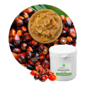 Pure Organic Batana Oil Honduras Bulk Price, 10 Kg, Elaeis Oleifera Ojon Tree Nut Butter for Hair Growth | Traditional Craft