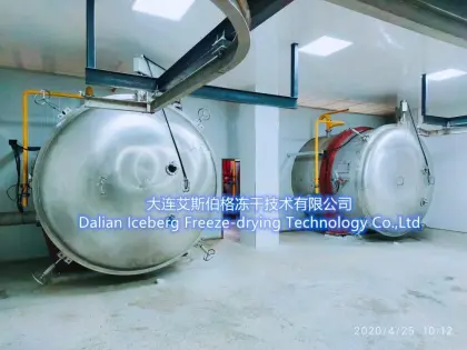Sliced Kiwi Freeze drying equipment