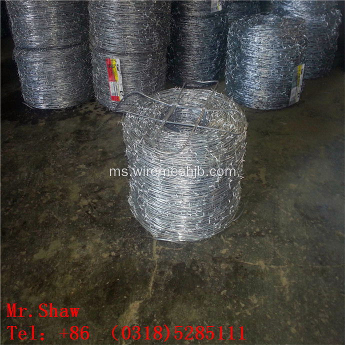 Electro Galvanized Barbed Wire For Protection