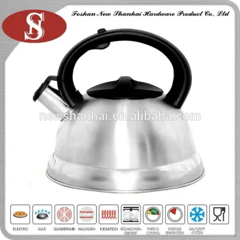 New design in china stainless steel gas water kettle