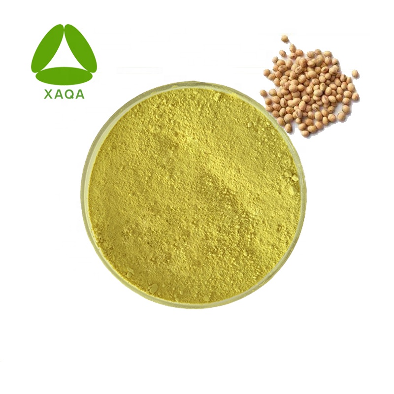 Soybean Seed Extract Soy Isoflavone Powder