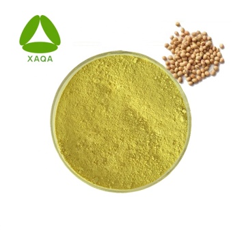 Soybean Seed Extract Soy Isoflavone Powder