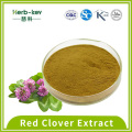 Anti-inflammatory action 8% Red Clover Extract