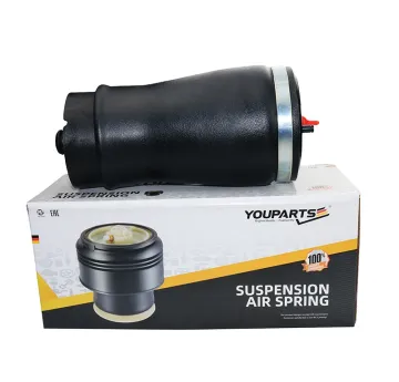 YOUPARTS OEM 37121095579 37121095580 Rear Left Air Suspension Spring Bag for BMW E53/X5