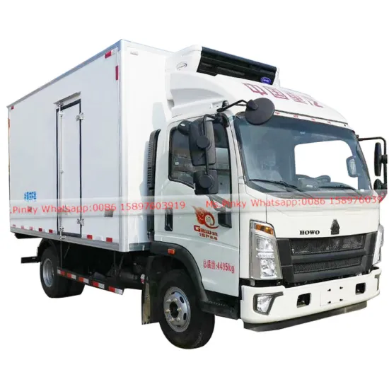 HOWO 5Tons Freezer Cold Box Truck for Meat Ice Cream medicine or other dairy project Transport Whatsapp: 0086 15897603919